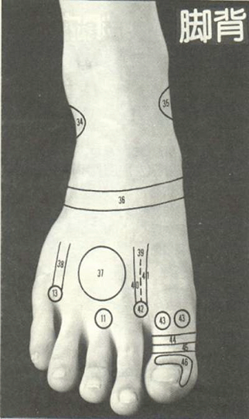 腳底按摩~腳背反射區