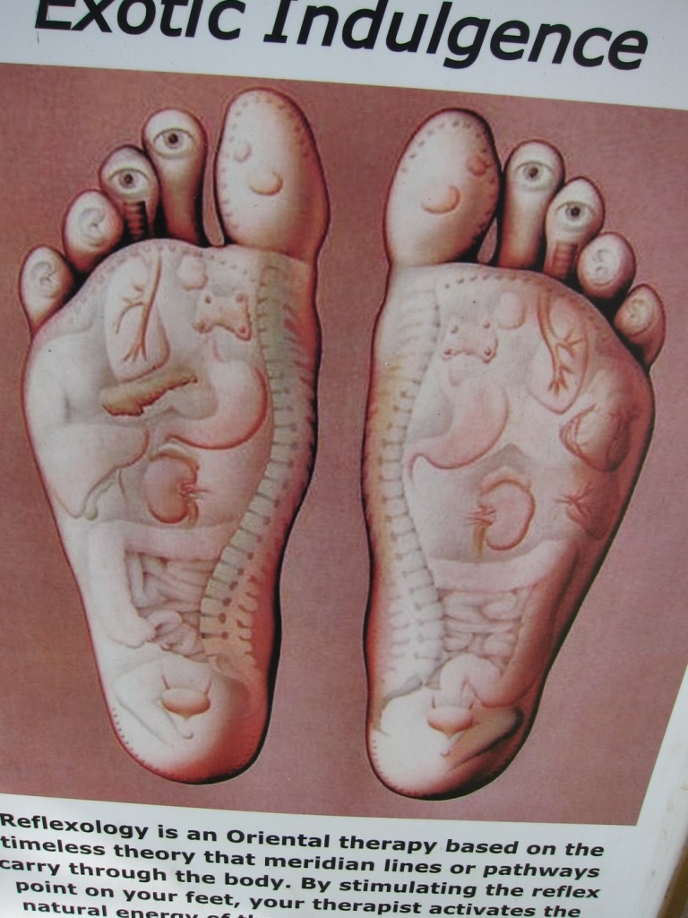 腳底按摩-反射區2