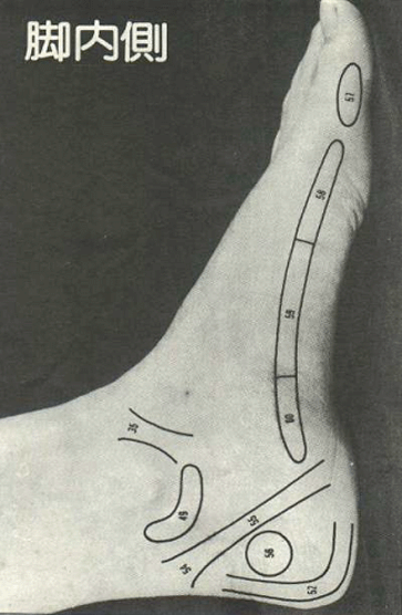 腳底按摩~腳內側反射區