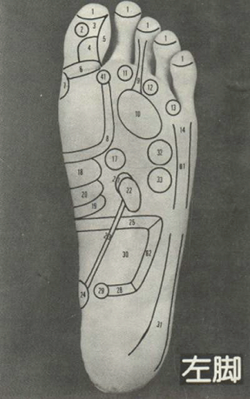 腳底按摩~左腳反射區