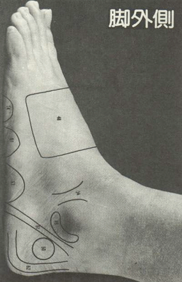 腳底按摩~腳外側反射區